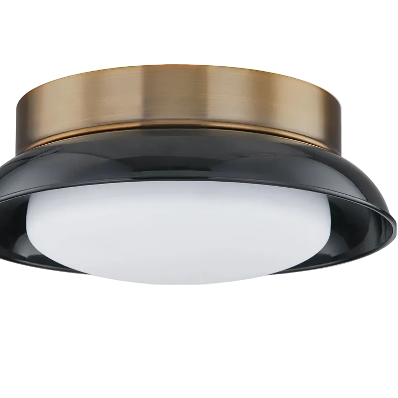 Arnie 2-Light Ceiling Light – Patina Brass and Gloss Black