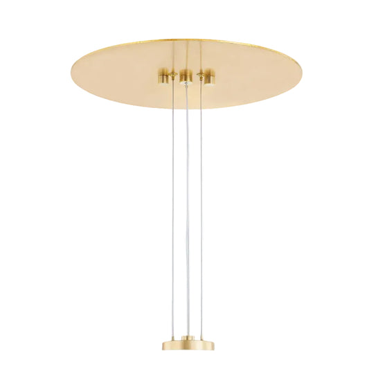 Gold pendant light fixture on a white background