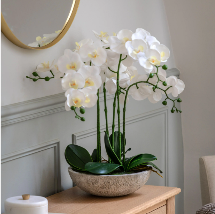 Oversized Orchid in Cement Pot – White
